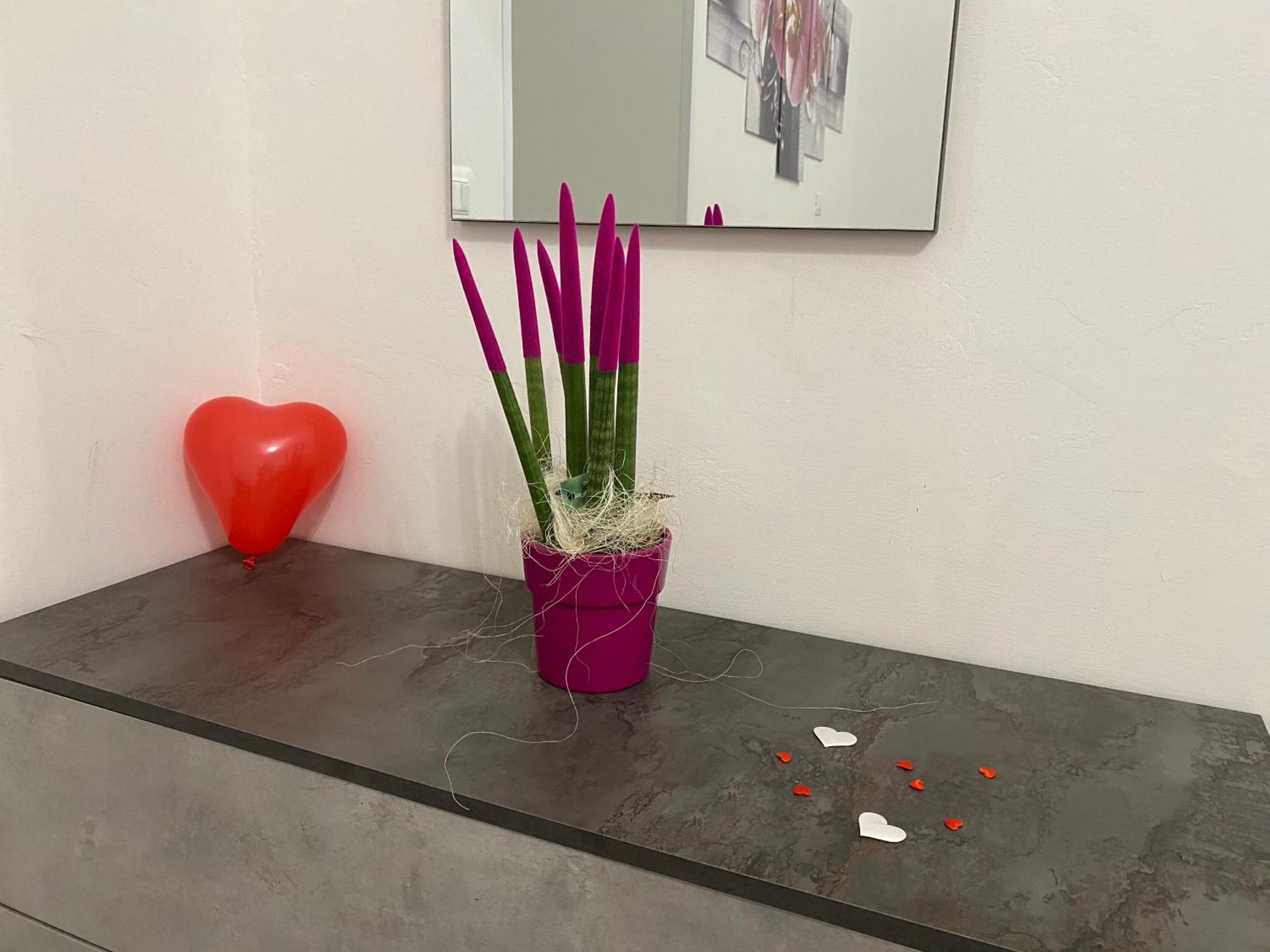 ויאסטה Le Regioni Del Cuore מראה חיצוני תמונה